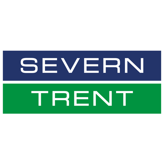 Severn Trent Fin 6.25% Jun 2029